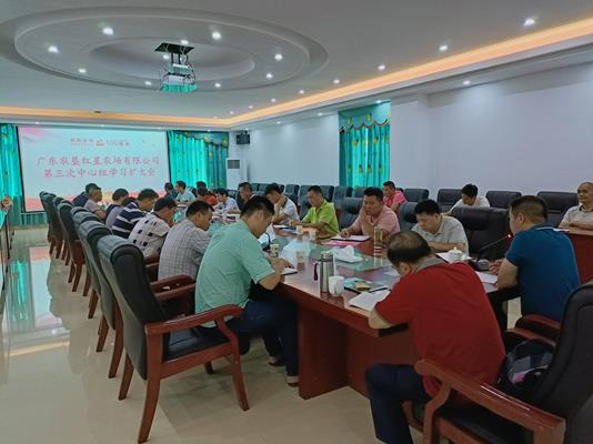图片:会上 (Copy)