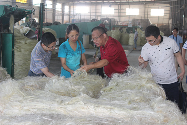 中国农垦经济发展中心调研组到湛江垦区调研