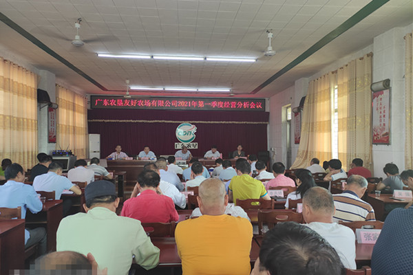 图片:经营分析会会场 (Copy)