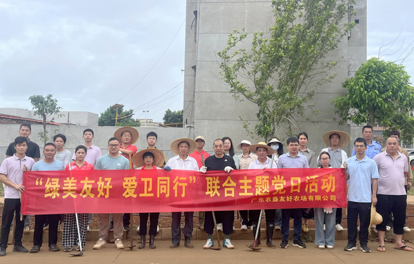 图片:2