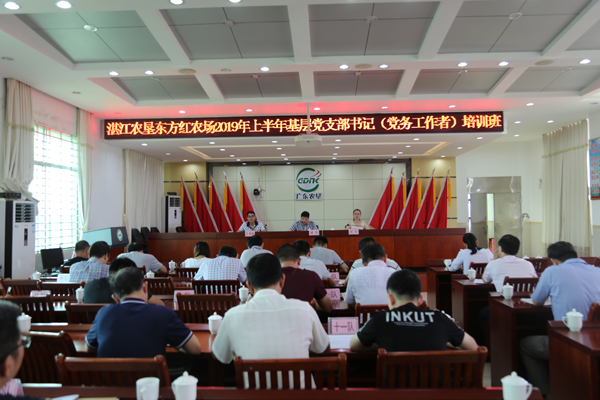 图片:会场