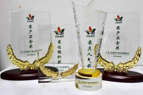 图片:6 荣获多项大奖