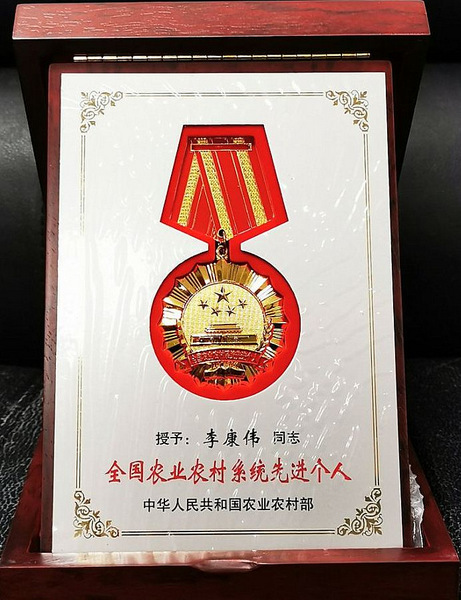 图片:奖章